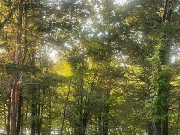 .34 Acre Buckeye Hills Road, Falmouth, KY 41040