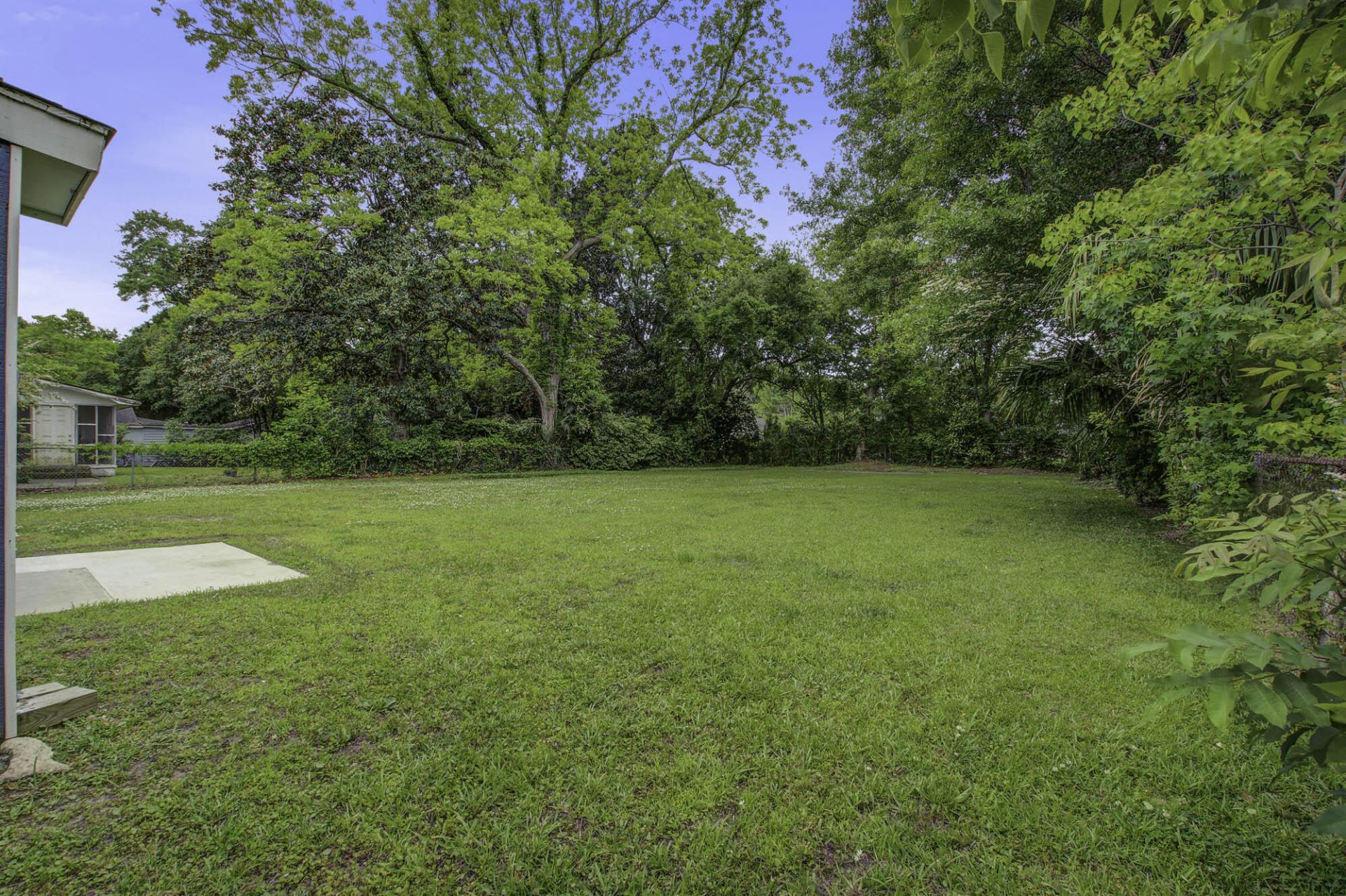 1009 Diana Street Photo 19