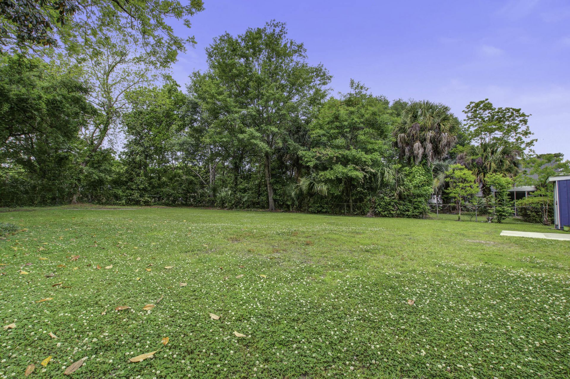 1009 Diana Street Photo 22