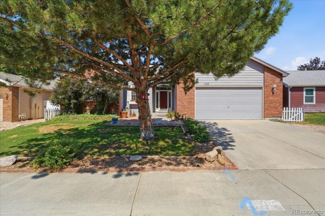 1116 Summit Court, Windsor, CO 80550 Main Photo