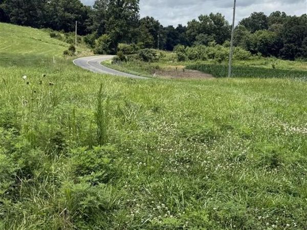 Lot 1 Fountain Run Road , Gamaliel, KY 42140