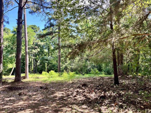 130 Dallas 216 , Sparkman, AR 71763