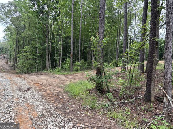 TRACT 1 343 County road 892, Wedowee, AL 36278