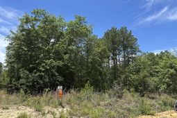 206 Bub Wise Road  photo 4