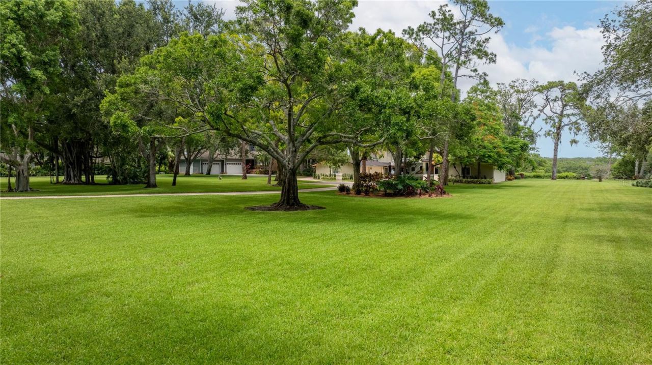 6305 Burning Tree Drive, Seminole, FL 33777 Photo