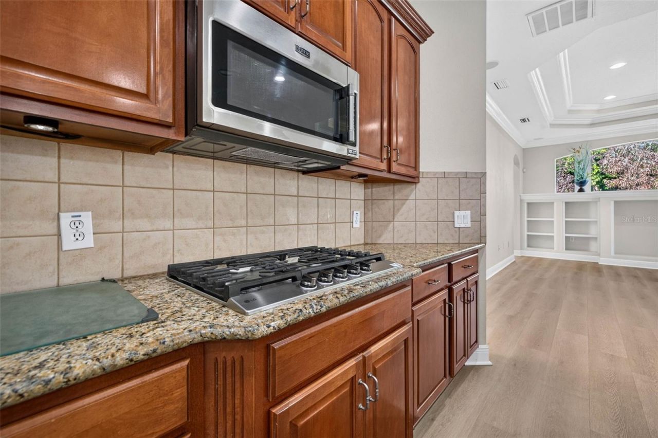 5112 Abisher Wood Lane, Brandon, FL 33511 Photo