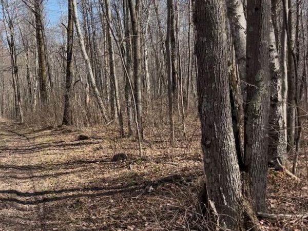 1 TBD , Hinckley Twp, MN 55037