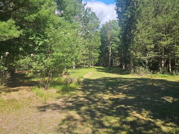 Lot 1 Woodland Avenue, Montello, WI 53949