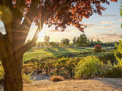 8172 Anastasia Way, El Dorado Hills, CA 95762 Photo