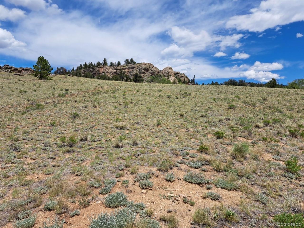149 Mustang Road, Jefferson, CO 80456 Main Photo