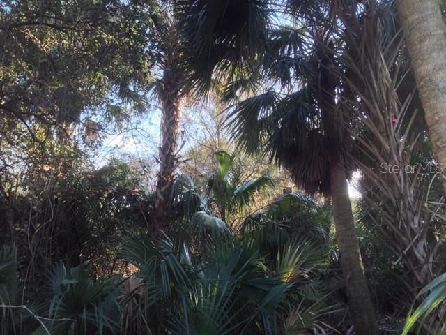 1901 Graham Road , Punta Gorda, FL 33982 Photo