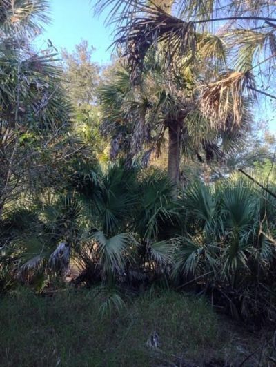 1901 Graham Road , Punta Gorda, FL 33982 Photo