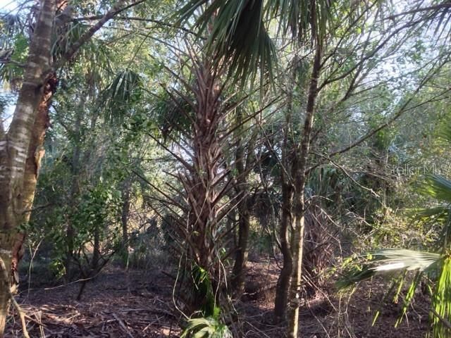 1901 Graham Road , Punta Gorda, FL 33982 Photo