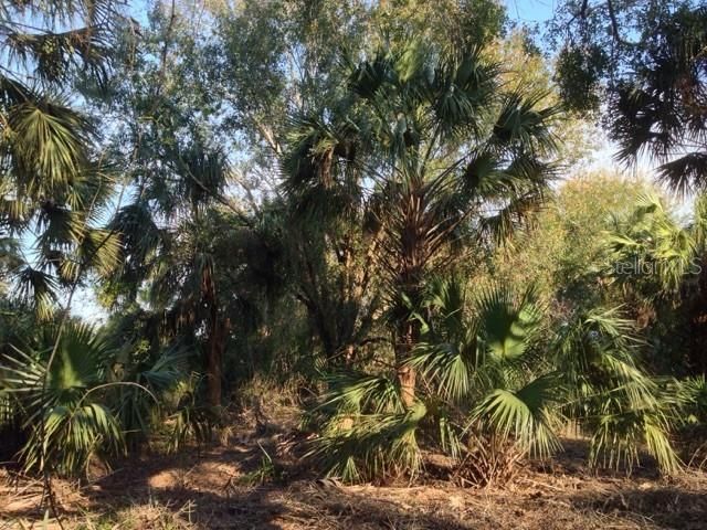 1901 Graham Road , Punta Gorda, FL 33982 Photo