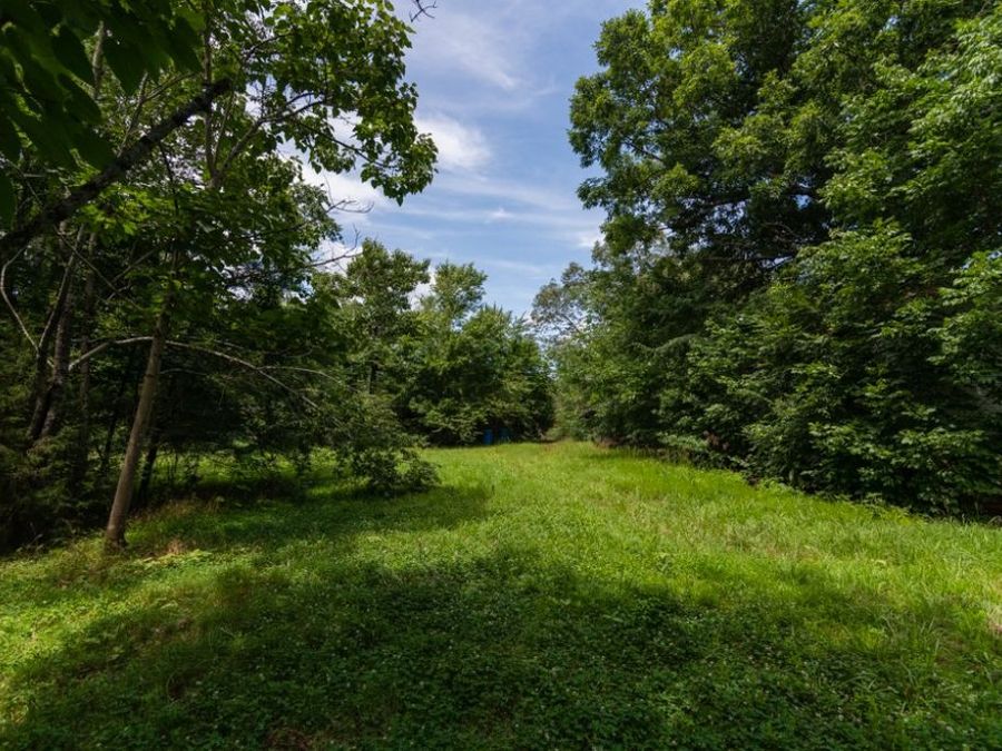 Property Image 63