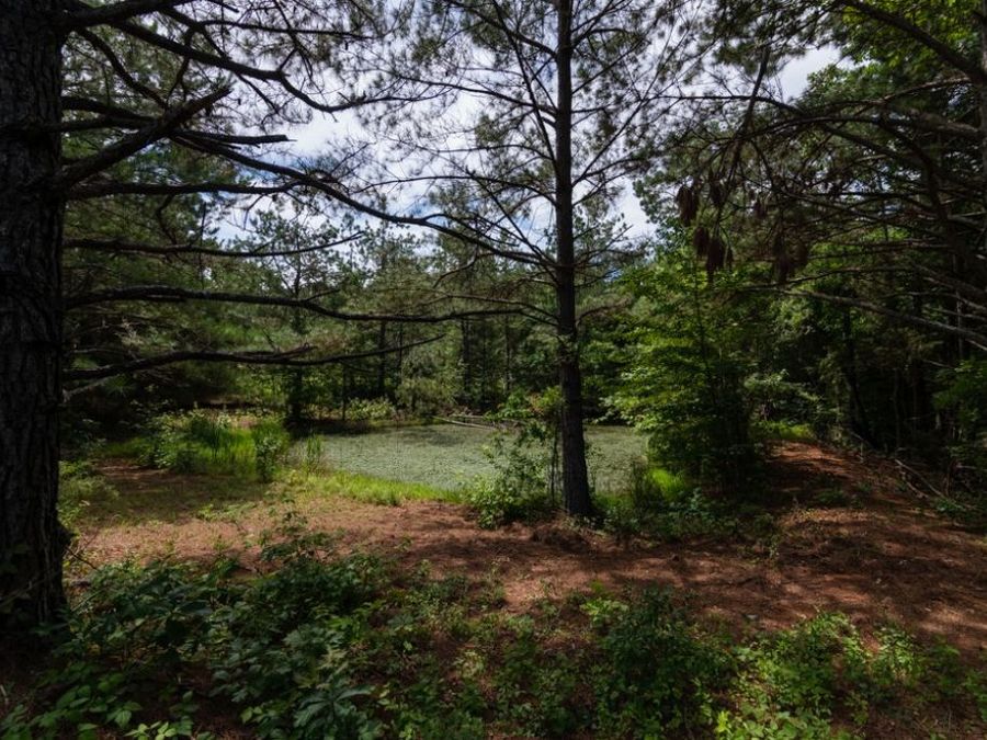 Property Image 64