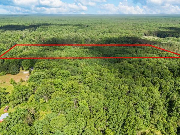 8642 E KINNEY Road, Branch, MI 49402