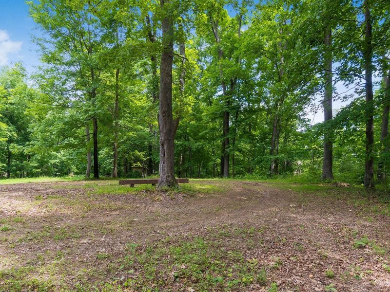 770 Standpipe Road, Jackson, OH 45640 Photo 114