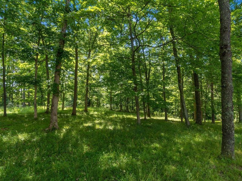 770 Standpipe Road, Jackson, OH 45640 Photo 74