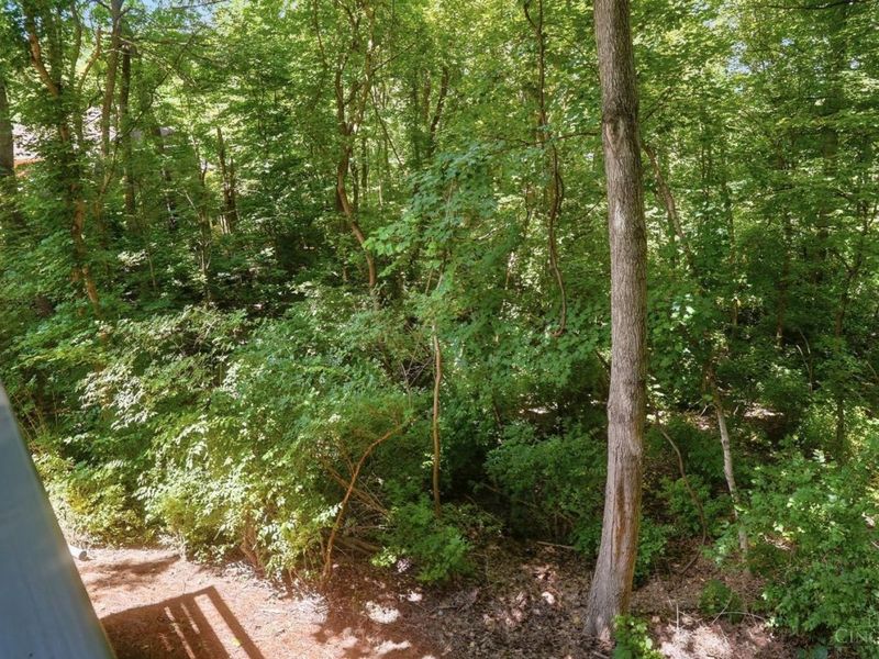 2855 Patterson Farms Lane, Anderson Twp, OH 45244 Photo 87