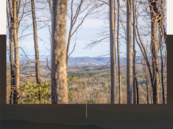 787 Tea House Drive, Asheville, NC 28803