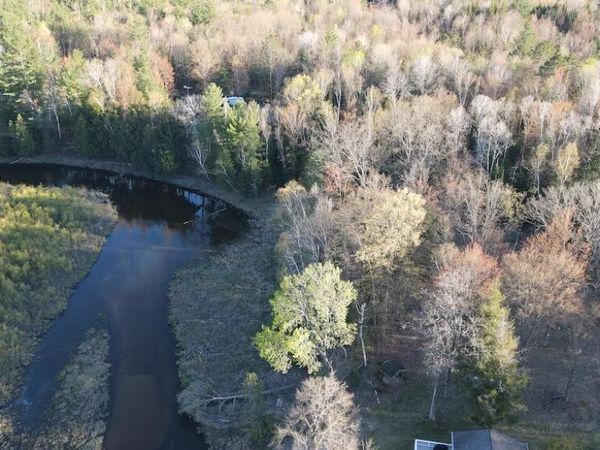 Lot 1 V/L Wildwood Road, Alger, MI 48610