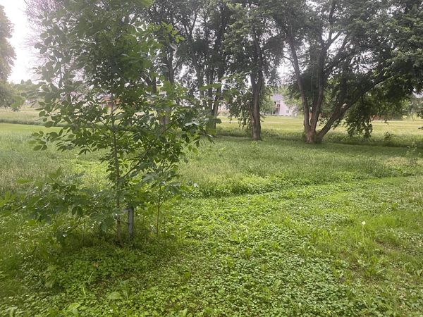 817 Colorado Street NW, Lonsdale, MN 55046