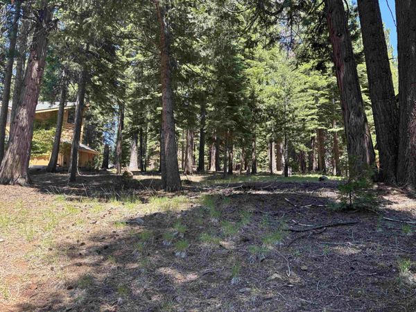 716 W Mountain Ridge Road, Lake Almanor, CA 96137