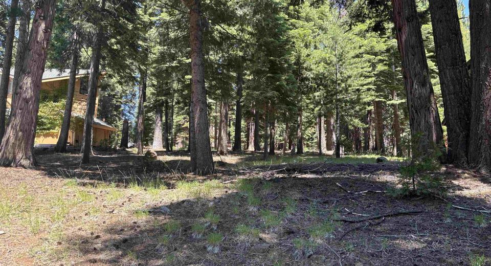 716 W Mountain Ridge Road, Lake Almanor, CA 96137 Photo