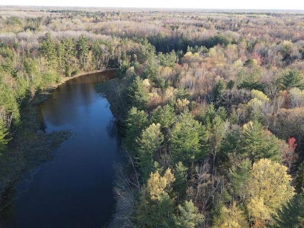 Lot 9 V/L Wildwood Road, Alger, MI 48610