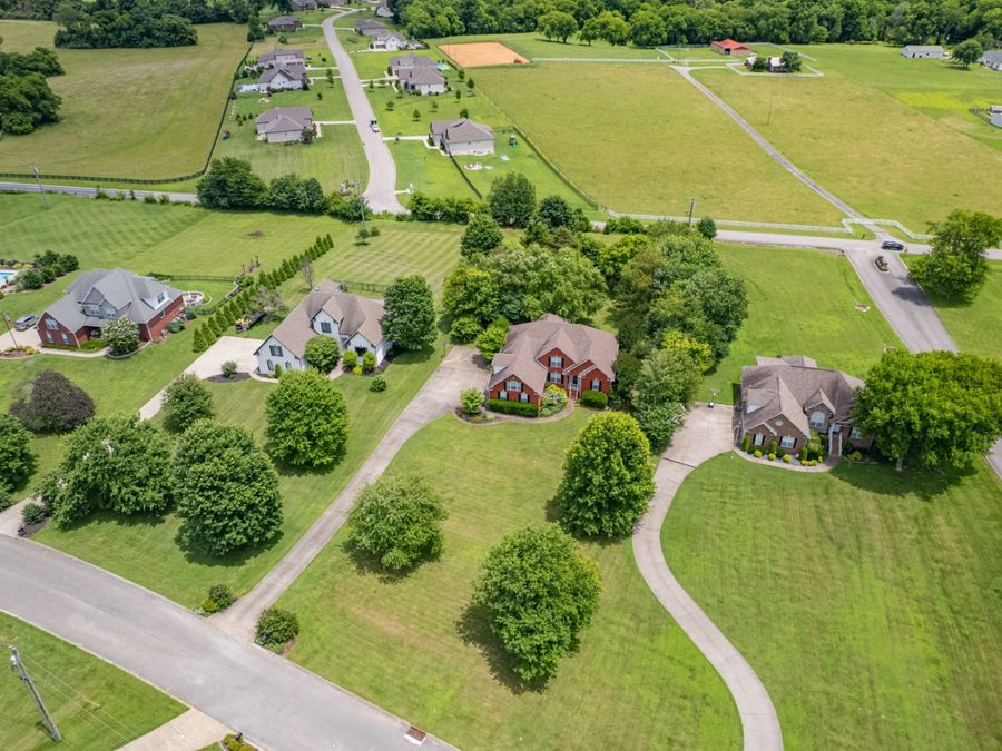 Property Image 91