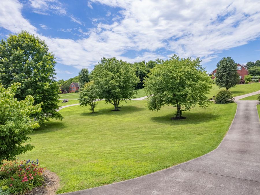 Property Image 94
