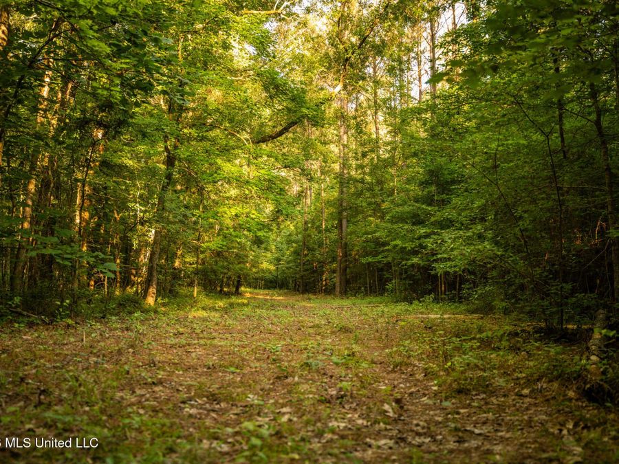 Property Image 53