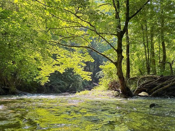 22.80+/- acres County Highway 26, Blountsville, AL 35031
