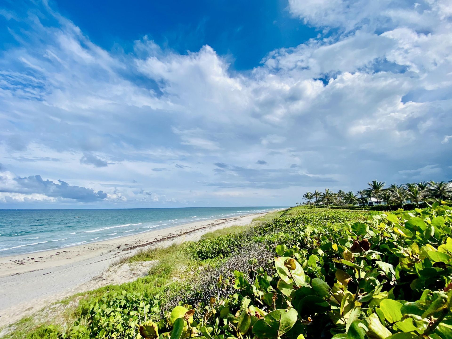 625 Casa Loma Boulevard, Unit 207, Boynton Beach, FL 33435 Photo