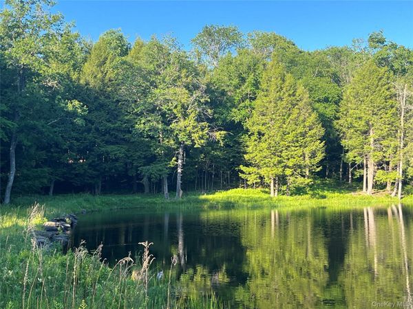 4 Cold Creek Pass , Parksville, NY 12768