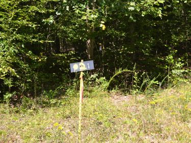 1 Rolling Mills Road, Eddyville, KY 42038