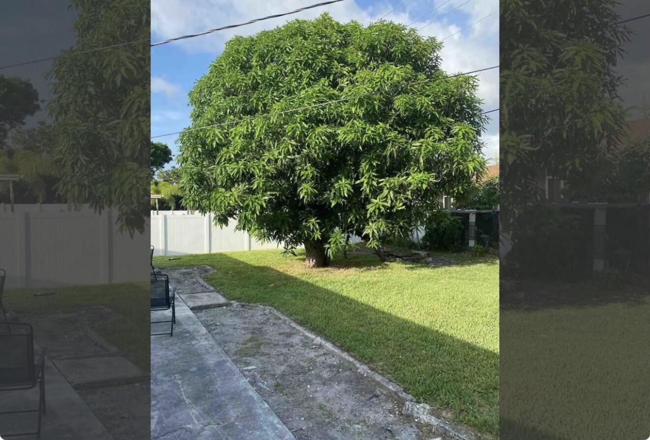 2499 NE 2nd Avenue, Unit B, Boca Raton, FL 33431 Photo