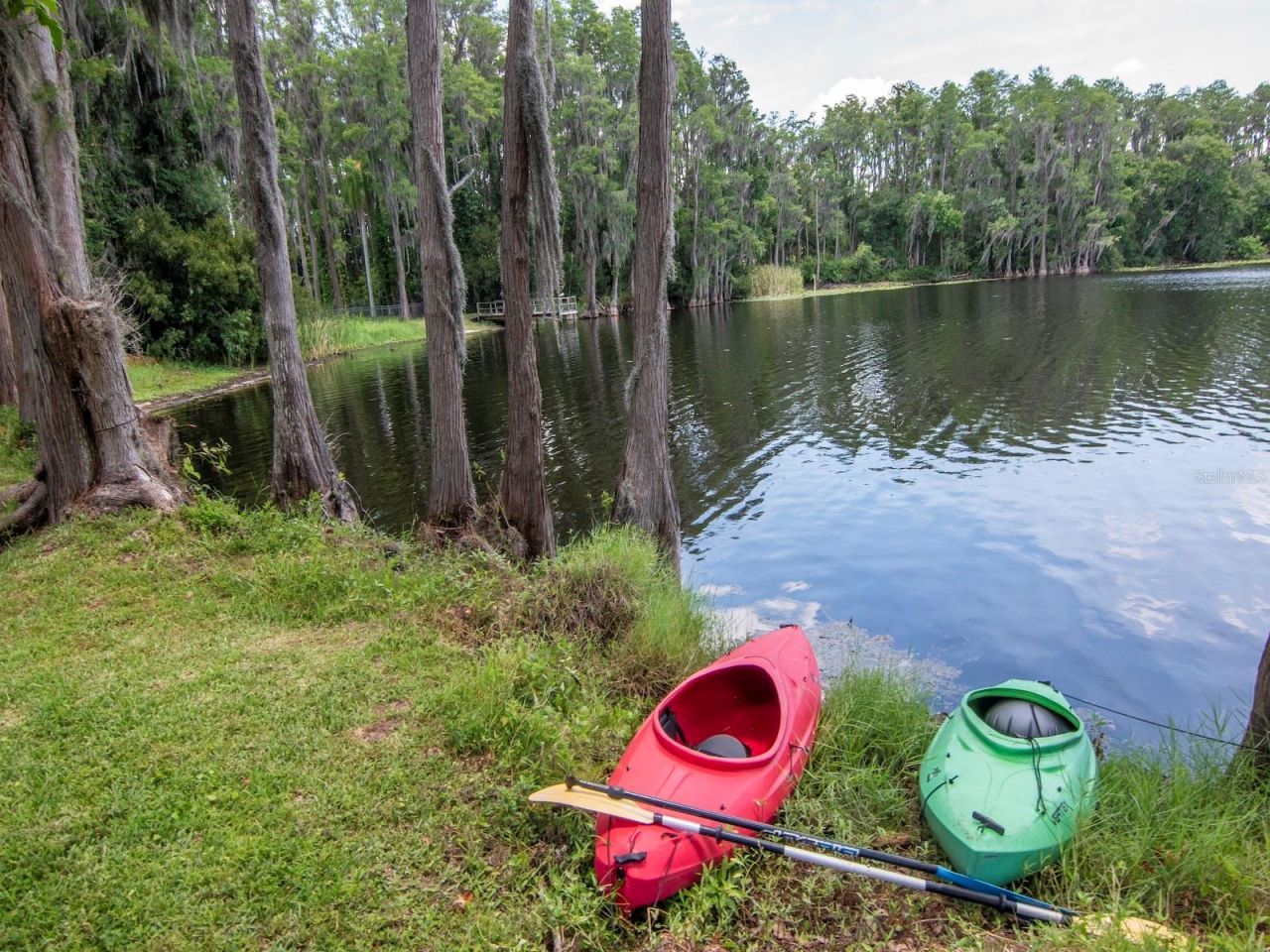 219 Willow Bend Parkway , Lutz, FL 33549 Photo