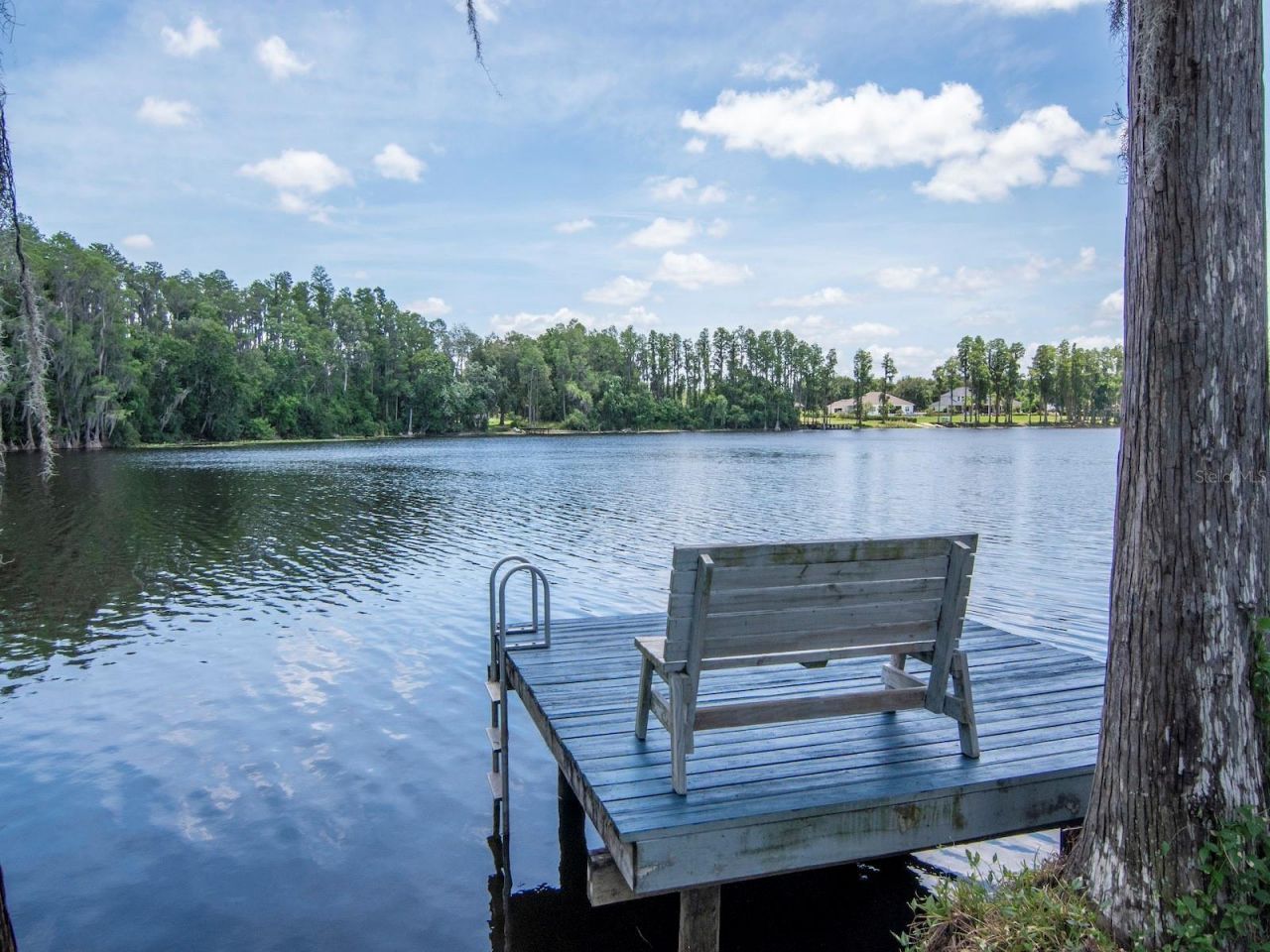 219 Willow Bend Parkway , Lutz, FL 33549 Photo