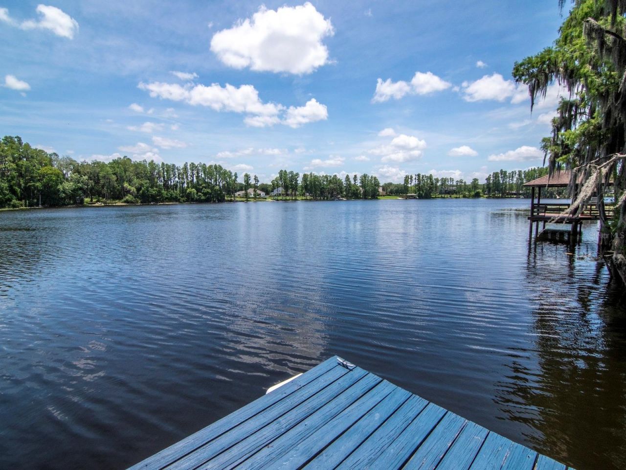 219 Willow Bend Parkway , Lutz, FL 33549 Photo