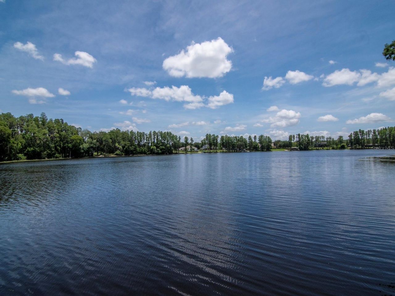 219 Willow Bend Parkway , Lutz, FL 33549 Photo