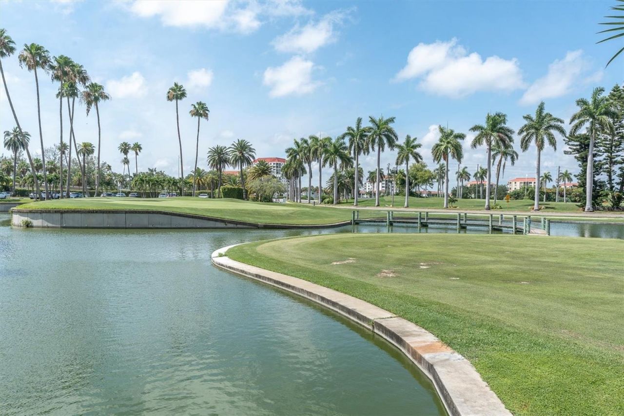 6000 Bahia Del Mar Circle, Unit 131, Saint Petersburg, FL 33715 Photo