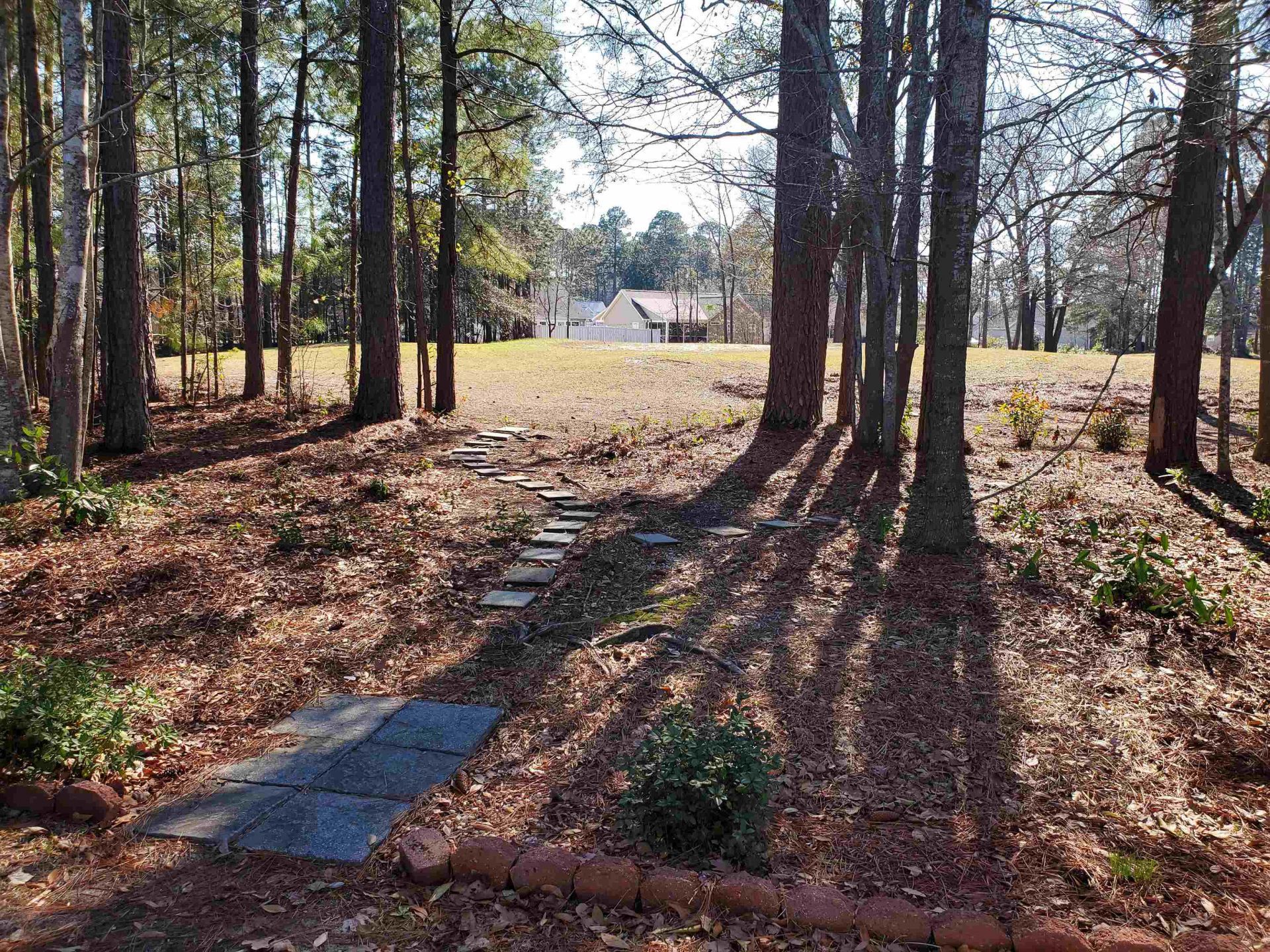 6729 Wisteria Dr.  Photo 5