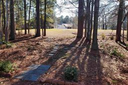 6729 Wisteria Dr.  photo 4