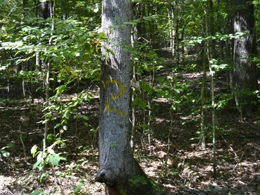 2 Rolling Mill Rd Road, Eddyville, KY 42038