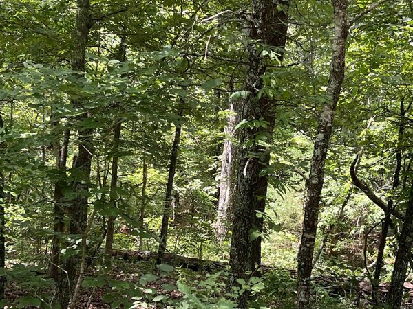 000 PR off Ridge Haven , Mammoth Spring, AR 72554
