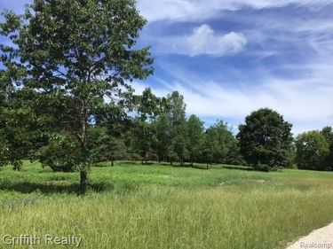 Parcel 1 E Coon Lake Road , Genoa Twp, MI 48843