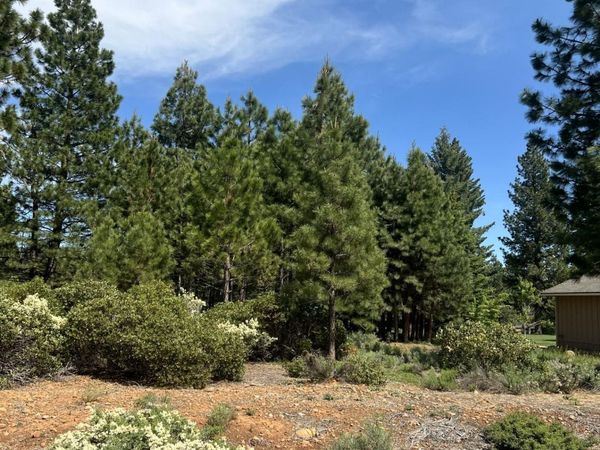 87 Flint Way, Lake Almanor, CA 96137