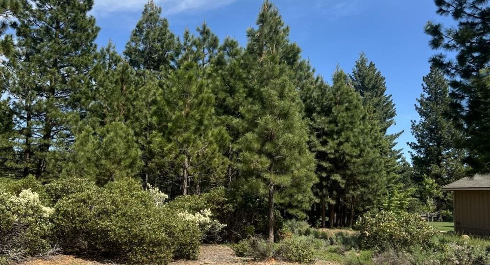 87 Flint Way, Lake Almanor, CA 96137 Photo